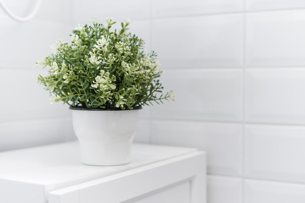 Guestready - The First Leilighet Porto Eksteriør bilde